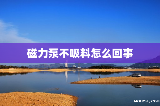 磁力泵不吸料怎么回事