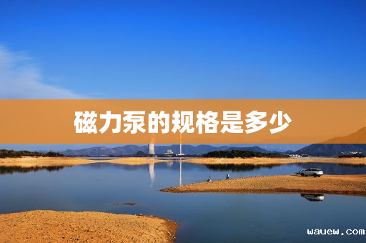 磁力泵的规格是多少