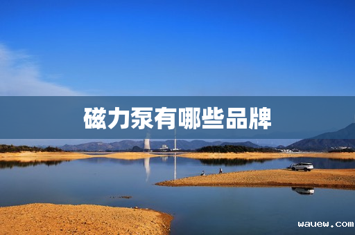 磁力泵有哪些品牌