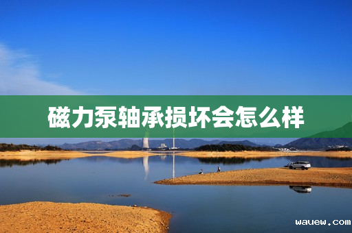 磁力泵轴承损坏会怎么样