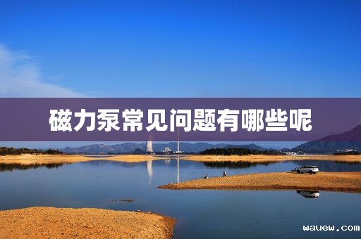 磁力泵常见问题有哪些呢