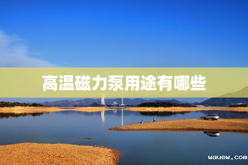 高温磁力泵用途有哪些