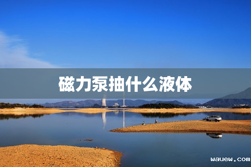 磁力泵抽什么液体