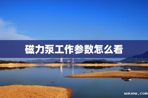 磁力泵工作参数怎么看