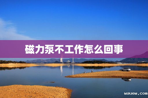 磁力泵不工作怎么回事