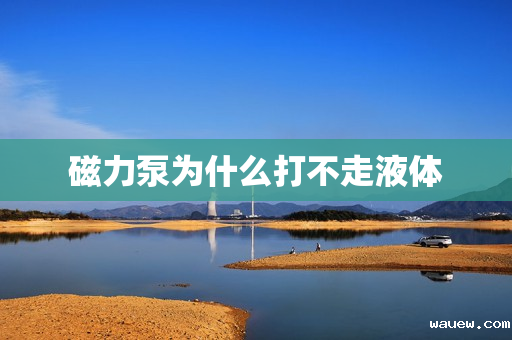 磁力泵为什么打不走液体