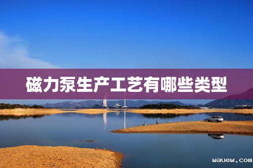 磁力泵生产工艺有哪些类型