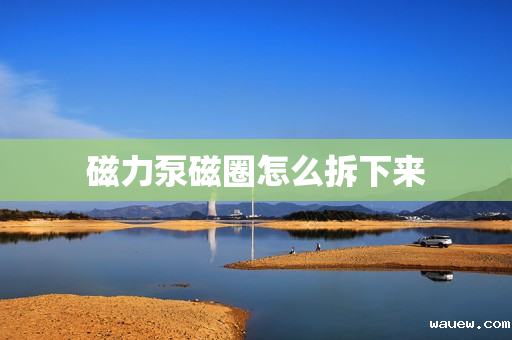 磁力泵磁圈怎么拆下来