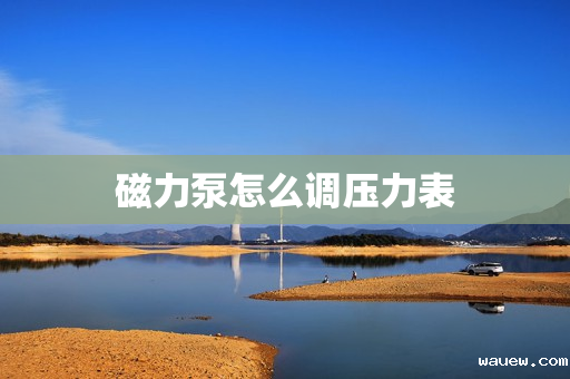 磁力泵怎么调压力表