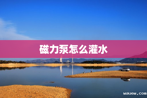 磁力泵怎么灌水