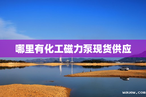 哪里有化工磁力泵现货供应