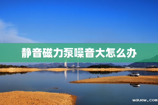 静音磁力泵噪音大怎么办