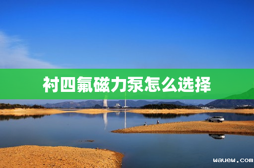 衬四氟磁力泵怎么选择