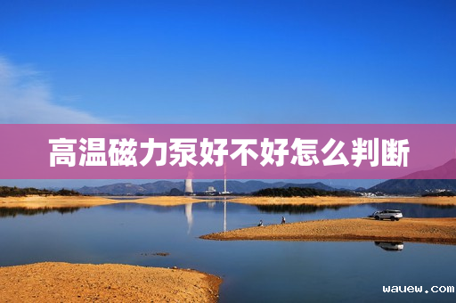 高温磁力泵好不好怎么判断