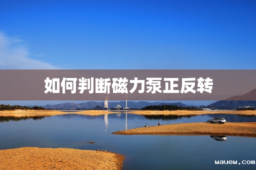 如何判断磁力泵正反转