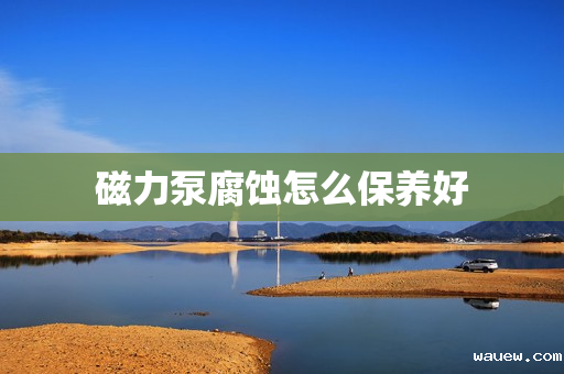 磁力泵腐蚀怎么保养好