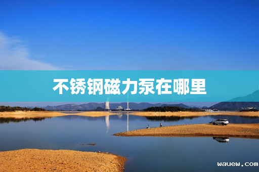 不锈钢磁力泵在哪里