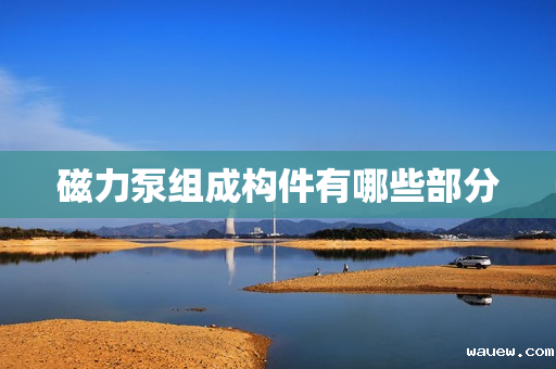 磁力泵组成构件有哪些部分