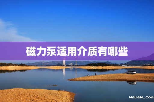 磁力泵适用介质有哪些