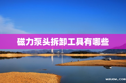 磁力泵头拆卸工具有哪些