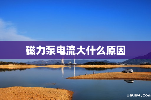 磁力泵电流大什么原因