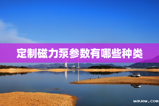 定制磁力泵参数有哪些种类