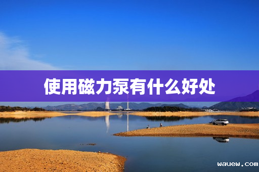 使用磁力泵有什么好处