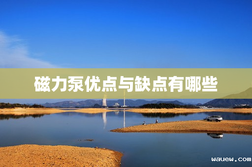 磁力泵优点与缺点有哪些