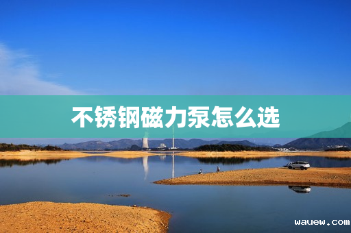 不锈钢磁力泵怎么选