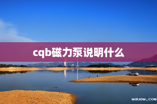 cqb磁力泵说明什么