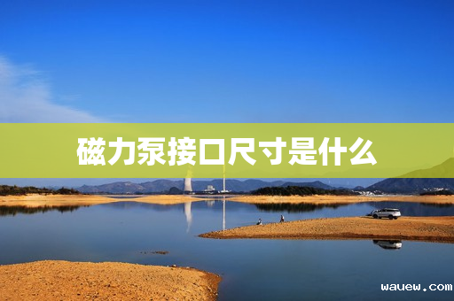 磁力泵接口尺寸是什么