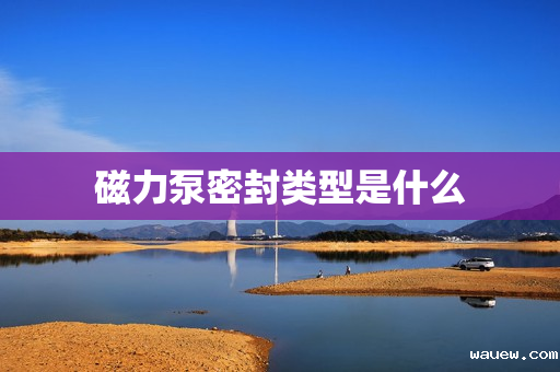 磁力泵密封类型是什么