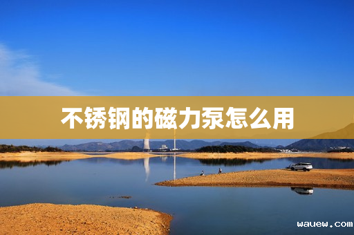 不锈钢的磁力泵怎么用