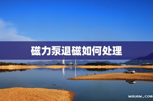 磁力泵退磁如何处理