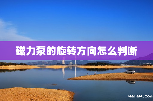 磁力泵的旋转方向怎么判断