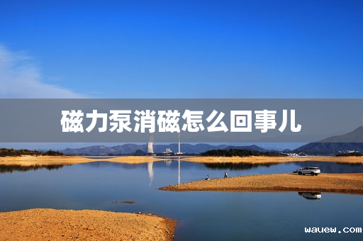 磁力泵消磁怎么回事儿