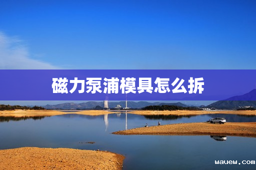 磁力泵浦模具怎么拆