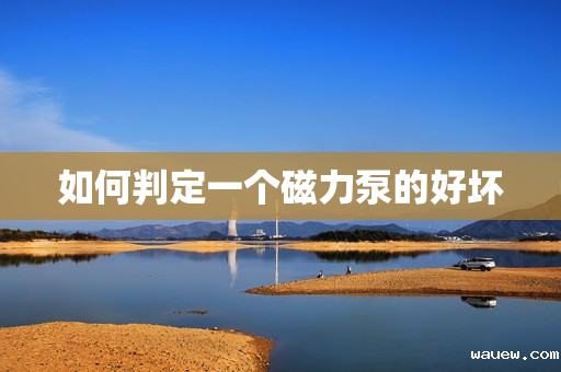 如何判定一个磁力泵的好坏