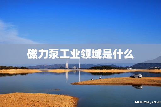 磁力泵工业领域是什么