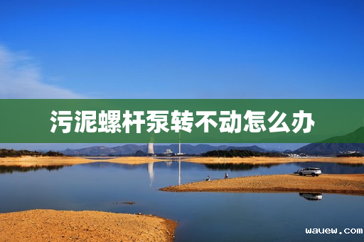 污泥螺杆泵转不动怎么办