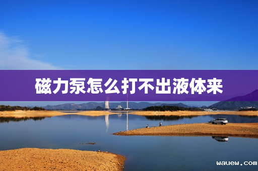 磁力泵怎么打不出液体来