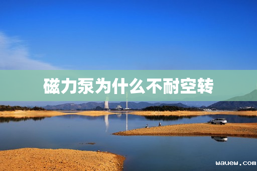 磁力泵为什么不耐空转