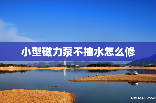 小型磁力泵不抽水怎么修
