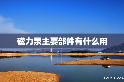 磁力泵主要部件有什么用