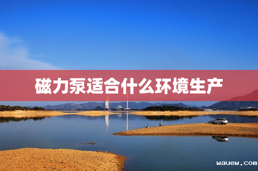 磁力泵适合什么环境生产