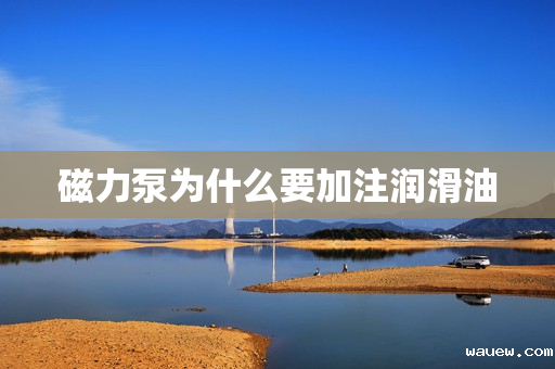 磁力泵为什么要加注润滑油