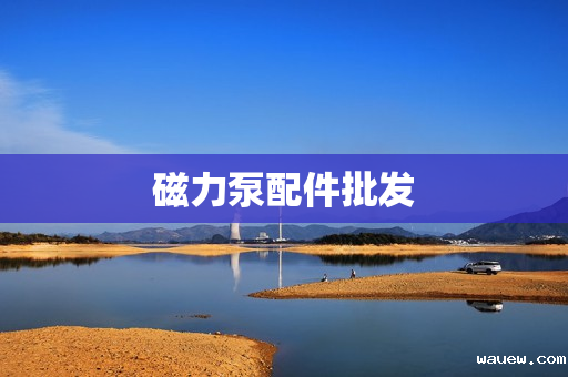 磁力泵配件批发