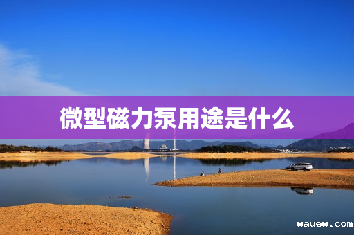 微型磁力泵用途是什么