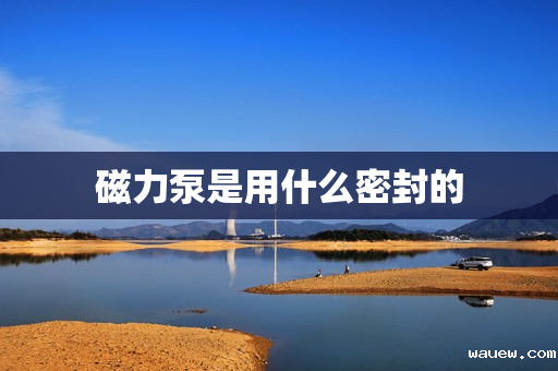 磁力泵是用什么密封的