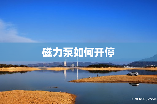 磁力泵如何开停